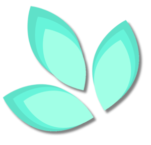 slimmer, more sculpted body